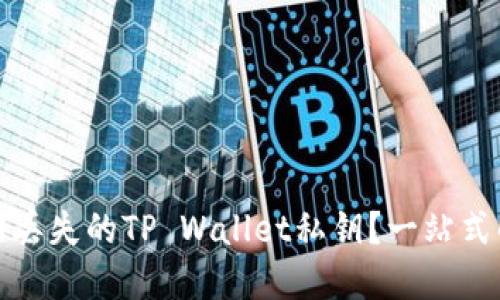 如何找回丢失的TP Wallet私钥？一站式解决方案