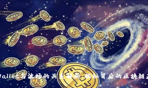 TPWallet与波场的关系解析：揭秘背后的区块链基础