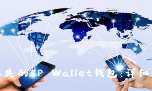 如何找回丢失的TP Wallet钱包：详细步骤与技巧