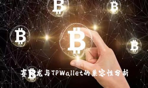 赛博龙与TPWallet的兼容性分析