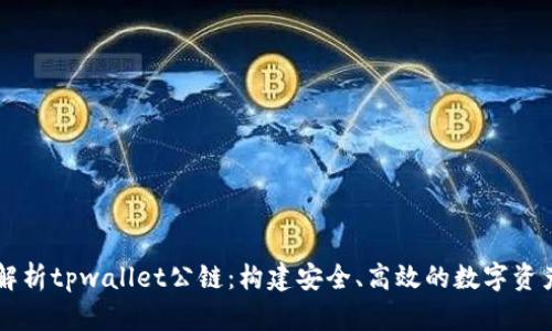优质深入解析tpwallet公链：构建安全、高效的数字资产管理平台