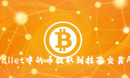 如何将TP Wallet中的币提取到抹茶交易所: 完整指南