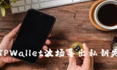 如何解决TPWallet波场导出私钥失败的问题