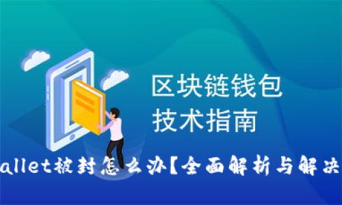 TPWallet被封怎么办？全面解析与解决方案