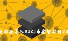 tpwallet电脑版导入BSC（币安智能链）的详细指南