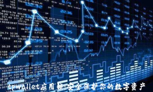 
tpwallet应用锁：安全保护你的数字资产