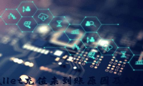 
TPWallet充值未到账原因及处理方法