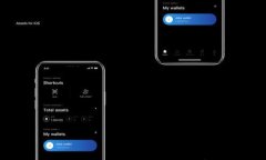 揭秘TBTCS中的本聪与TPWallet：未来数字货币的先锋