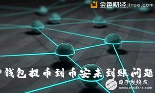 如何解决TP钱包提币到币安未到账问题的详细指南