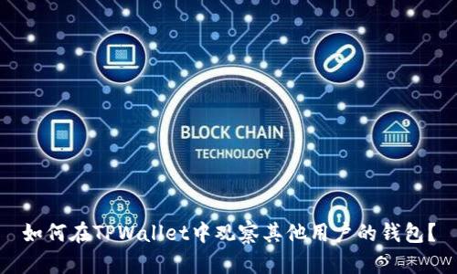 如何在TPWallet中观察其他用户的钱包？
