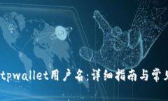 :如何找回tpwallet用户名：详细指南与常见问题解