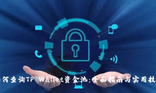 如何查询TP Wallet资金池：全面指南与实用技巧