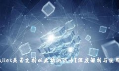 TPWallet是否支持以太坊测试币？深度解析与使用指