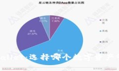 DP钱包与TPWallet：选择哪个数字资产管理工具更好