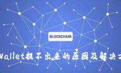 TPWallet提不出来的原因及解决方案