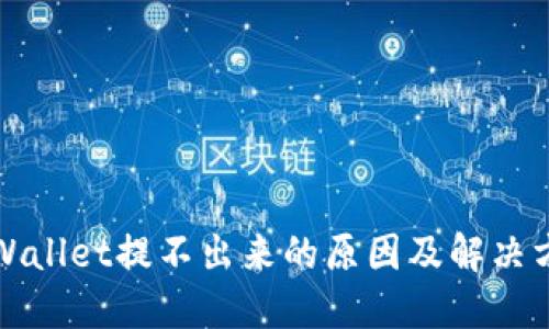 TPWallet提不出来的原因及解决方案