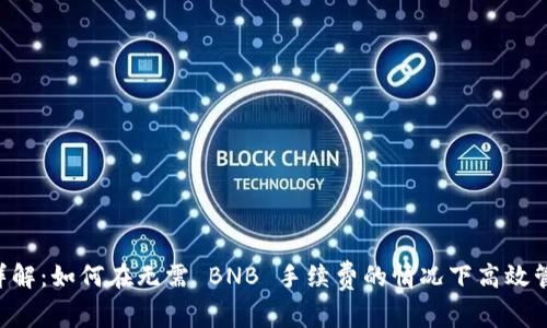 TPWallet 详解：如何在无需 BNB 手续费的情况下高效管理数字资产