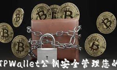 
如何使用TPWallet公钥安全管理您的数字资产