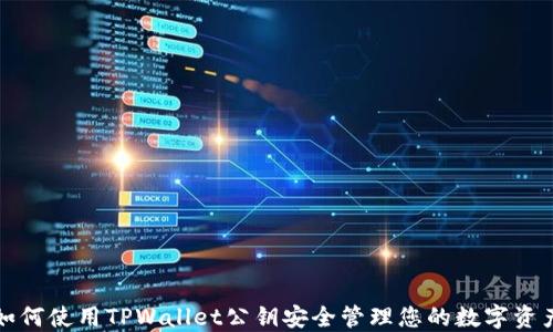 
如何使用TPWallet公钥安全管理您的数字资产