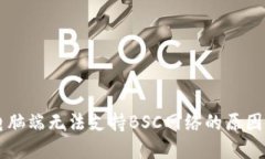 TPWallet电脑端无法支持BSC网络的原因及解决方案
