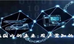 TPWallet在国内的未来：用户需知的变化与适应