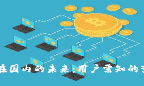 TPWallet在国内的未来：用户需知的变化与适应