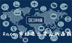 TP Wallet Raca：市场退出背后的原因与未来展望