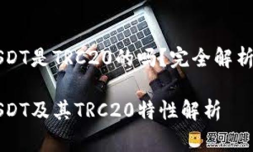 TPWallet中的USDT是TRC20的吗？完全解析与常见问题解答

TPWallet中的USDT及其TRC20特性解析