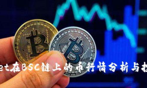 TPWallet在BSC链上的币行情分析与投资指南