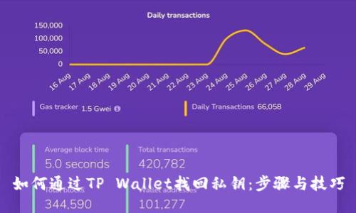 如何通过TP Wallet找回私钥：步骤与技巧