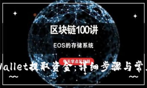 如何从TPWallet提取资金：详细步骤与常见问题解答