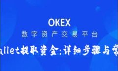 如何从TPWallet提取资金：详细步骤与常见问题解答