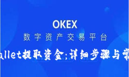 如何从TPWallet提取资金：详细步骤与常见问题解答