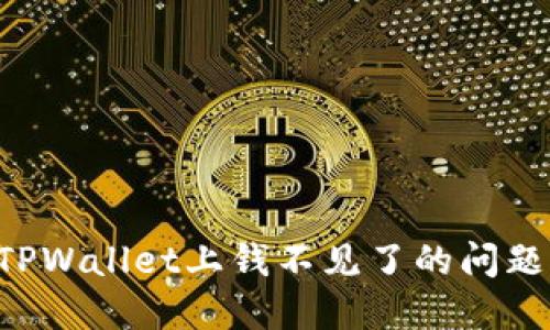 如何解决TPWallet上钱不见了的问题：全面指南