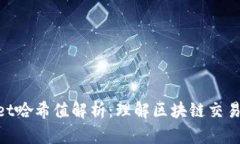 tpwallet哈希值解析：理解区块链交易的关键