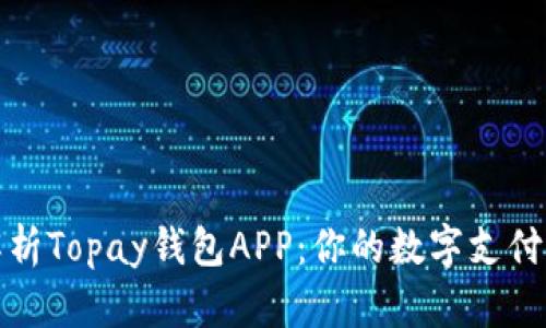 深入解析Topay钱包APP：你的数字支付新选择