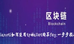 bianoti如何使用tpwallet购买feg：一步步指南