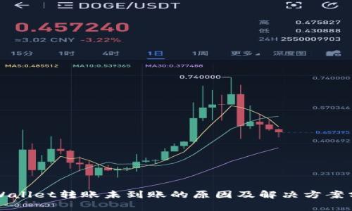 TPWallet转账未到账的原因及解决方案分析