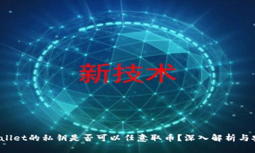  有TPWallet的私钥是否可以任意取币？深入解析与安全建议