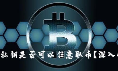  有TPWallet的私钥是否可以任意取币？深入解析与安全建议