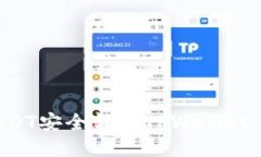 如何将USDT安全转入TPWallet：全面指南
