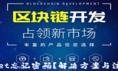 TPWallet忘记密码？解决方案与注意事项