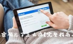 TP Wallet密码忘了怎么办？完整指南与解决方案