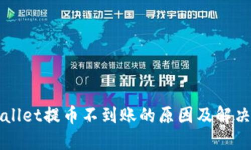 TPWallet提币不到账的原因及解决方法