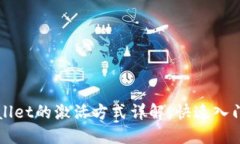 TPWallet的激活方式详解：快速入门指南