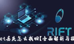   TPWallet丢失怎么找回？全面解析与操作指南