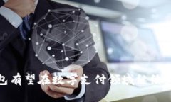baioti全面解析topay钱包：安全、便捷、智能支付的
