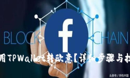 如何使用TPWallet转欧意？详细步骤与技巧解析